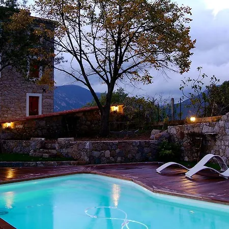 Carpe Diem Palazzu